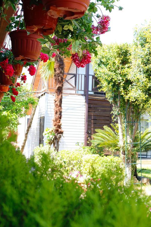 Guest House Alashara Pizunda Ngoại thất bức ảnh