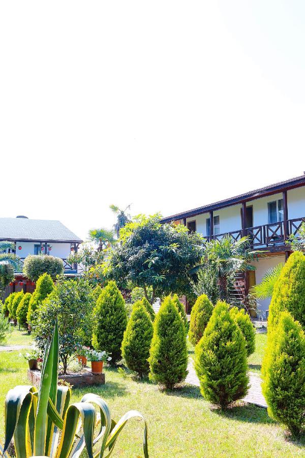 Guest House Alashara Pizunda Ngoại thất bức ảnh