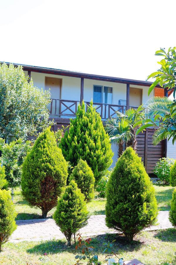Guest House Alashara Pizunda Ngoại thất bức ảnh