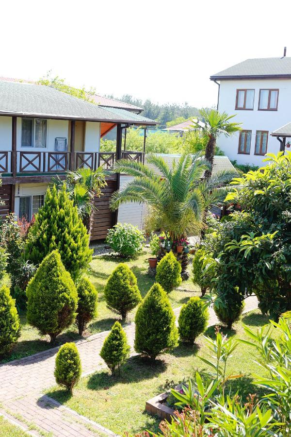 Guest House Alashara Pizunda Ngoại thất bức ảnh